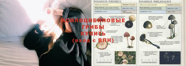ГАЛЛЮЦИНОГЕННЫЕ ГРИБЫ Баксан