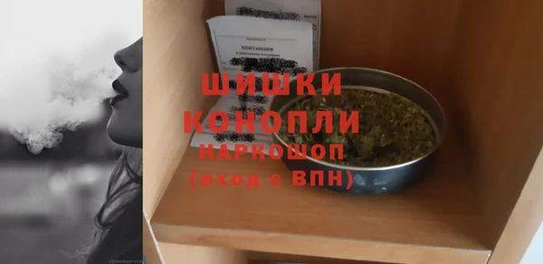 ГАЛЛЮЦИНОГЕННЫЕ ГРИБЫ Баксан