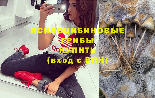 амф Арсеньев