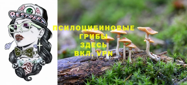 амф Арсеньев