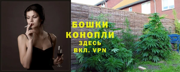 амф Арсеньев