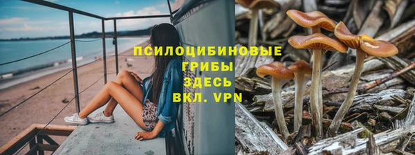 стаф Армянск