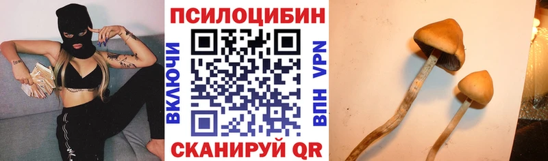 Купить закладки  Электросталь  Псилоцибиновые грибы MAGIC MUSHROOMS 